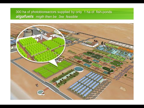 Como la Fuerza de la gravedad puede ayudar a reverdecer el Sahara y producir alimentos para la gente