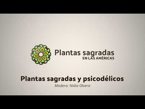 Drugs and Sacred Plants in Mexico´s History | Plantas Sagradas en las Américas